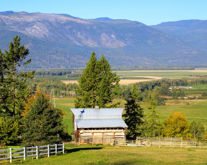 Creston Veterinary Hospital in Creston